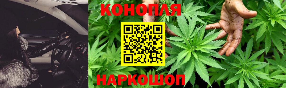Конопля OG Kush Нефтекумск